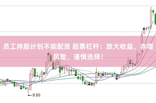 员工持股计划不能配资 股票杠杆：放大收益，亦增风险，谨慎选择！