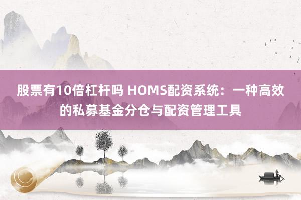 股票有10倍杠杆吗 HOMS配资系统:一种高效的私募基金分仓与配资管理工具