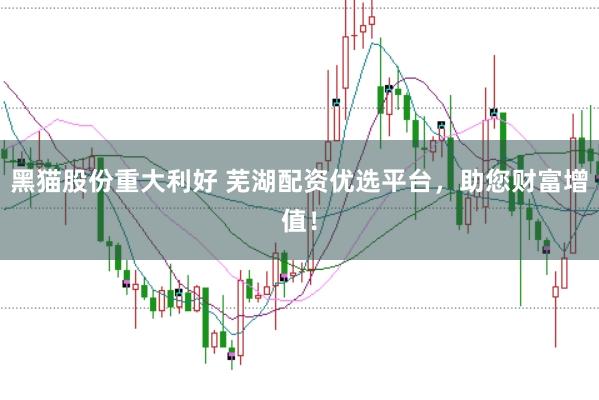 黑猫股份重大利好 芜湖配资优选平台,助您财富增值!