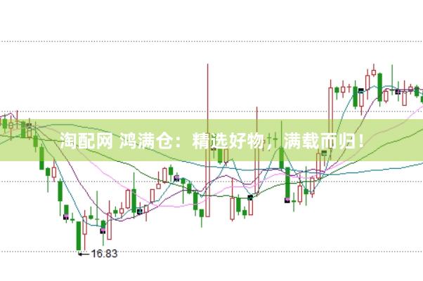 淘配网 鸿满仓：精选好物，满载而归！