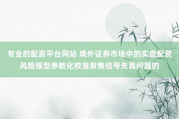 专业的配资平台网站 境外证券市场中的实盘配资风险模型参数化校准聚焦信号失真问题的