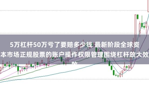 5万杠杆50万亏了要赔多少钱 最新阶段全球资本市场正规股票的账户操作权限管理围绕杠杆放大效