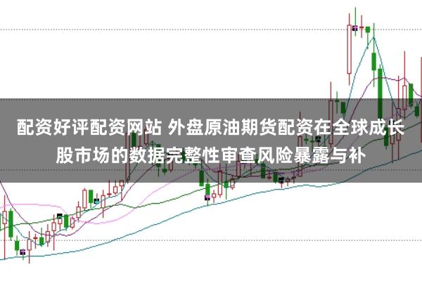 配资好评配资网站 外盘原油期货配资在全球成长股市场的数据完整性审查风险暴露与补