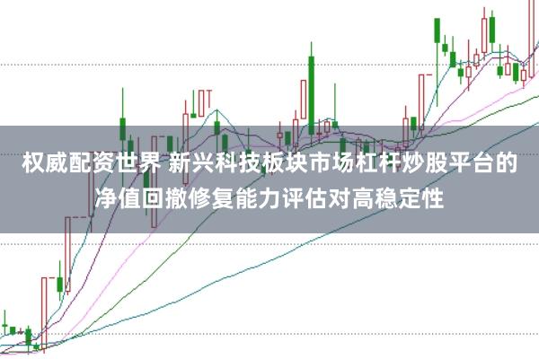权威配资世界 新兴科技板块市场杠杆炒股平台的净值回撤修复能力评估对高稳定性