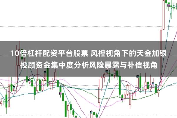 10倍杠杆配资平台股票 风控视角下的天金加银投顾资金集中度分析风险暴露与补偿视角