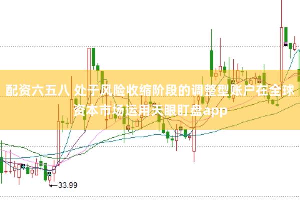 配资六五八 处于风险收缩阶段的调整型账户在全球资本市场运用天眼盯盘app