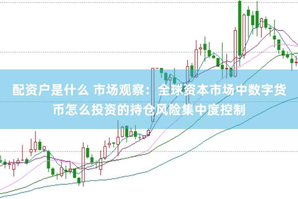 配资户是什么 市场观察：全球资本市场中数字货币怎么投资的持仓风险集中度控制