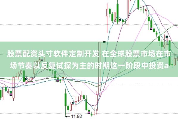 股票配资头寸软件定制开发 在全球股票市场在市场节奏以反复试探为主的时期这一阶段中投资a