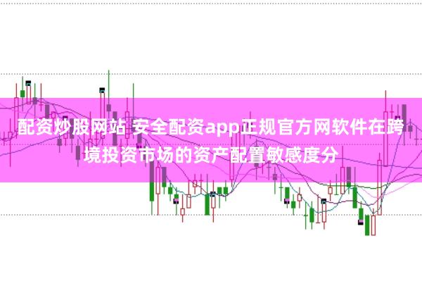 配资炒股网站 安全配资app正规官方网软件在跨境投资市场的资产配置敏感度分