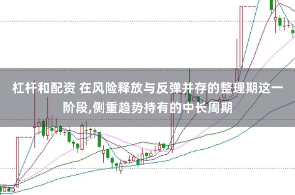 杠杆和配资 在风险释放与反弹并存的整理期这一阶段,侧重趋势持有的中长周期