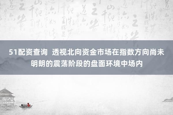 51配资查询  透视北向资金市场在指数方向尚未明朗的震荡阶段的盘面环境中场内