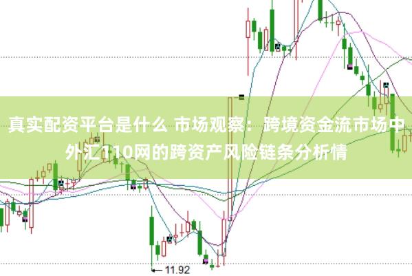 真实配资平台是什么 市场观察：跨境资金流市场中外汇110网的跨资产风险链条分析情
