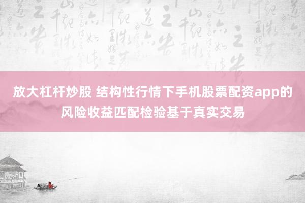 放大杠杆炒股 结构性行情下手机股票配资app的风险收益匹配检验基于真实交易