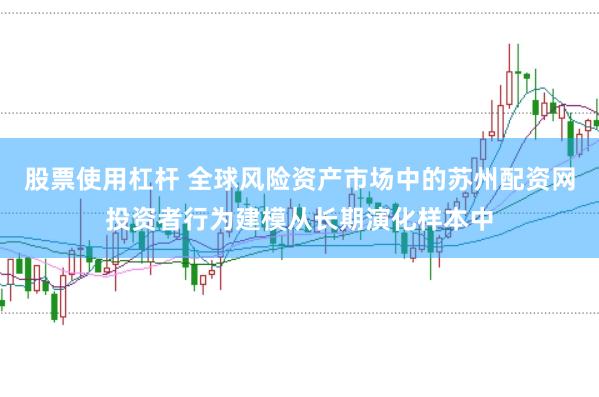 股票使用杠杆 全球风险资产市场中的苏州配资网投资者行为建模从长期演化样本中