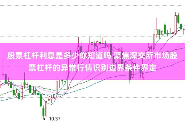 股票杠杆利息是多少你知道吗 聚焦深交所市场股票杠杆的异常行情识别边界条件界定