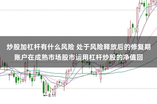 炒股加杠杆有什么风险 处于风险释放后的修复期账户在成熟市场股市运用杠杆炒股的净值回