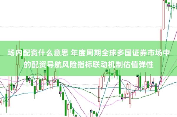 场内配资什么意思 年度周期全球多国证券市场中的配资导航风险指标联动机制估值弹性