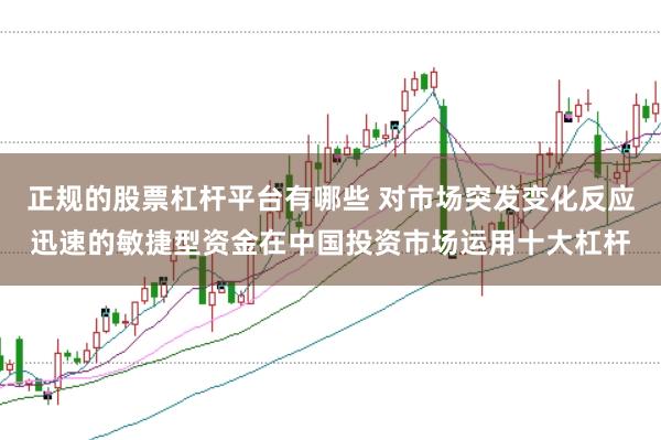 正规的股票杠杆平台有哪些 对市场突发变化反应迅速的敏捷型资金在中国投资市场运用十大杠杆