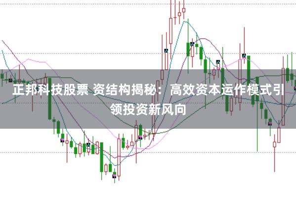 正邦科技股票 资结构揭秘：高效资本运作模式引领投资新风向