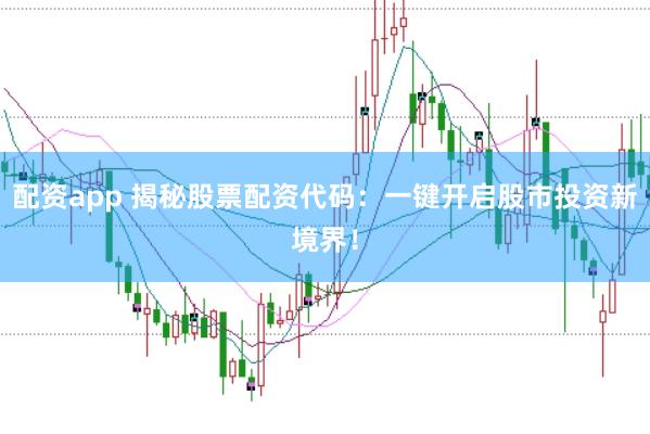 配资app 揭秘股票配资代码：一键开启股市投资新境界！