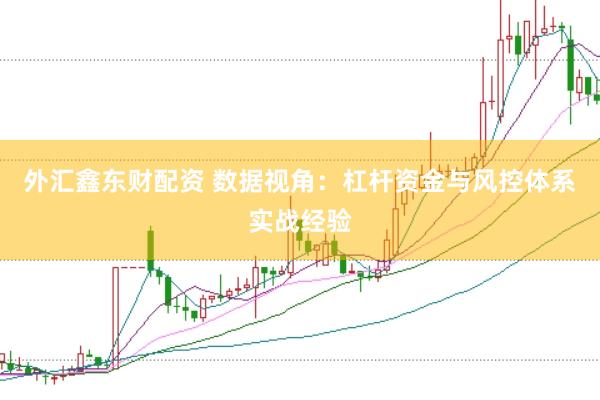 外汇鑫东财配资 数据视角：杠杆资金与风控体系实战经验