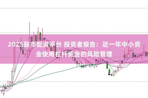 2025股市配资平台 投资者报告：近一年中小资金使用杠杆资金的风险管理
