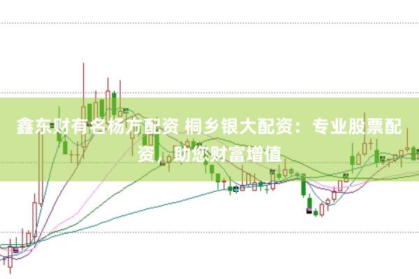 鑫东财有名杨方配资 桐乡银大配资：专业股票配资，助您财富增值