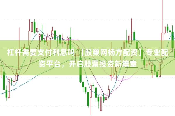 杠杆需要支付利息吗 【股巢网杨方配资】专业配资平台，开启股票投资新篇章