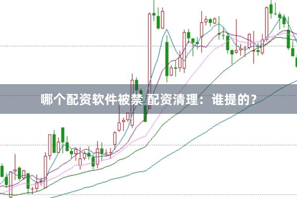 哪个配资软件被禁 配资清理：谁提的？