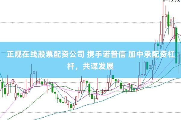 正规在线股票配资公司 携手诺普信 加中承配资杠杆，共谋发展