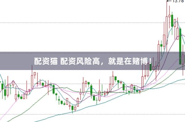 配资猫 配资风险高，就是在赌博！