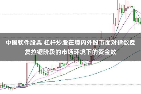 中国软件股票 杠杆炒股在境内外股市面对指数反复拉锯阶段的市场环境下的资金效