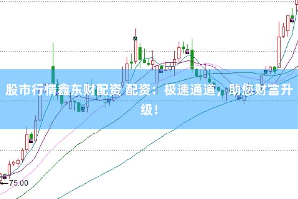 股市行情鑫东财配资 配资：极速通道，助您财富升级！